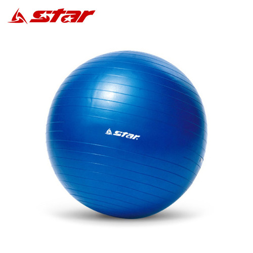 스타 미니 짐볼 블루 45cm 600g 필라테스 스트레칭 재활훈련 EB210-07